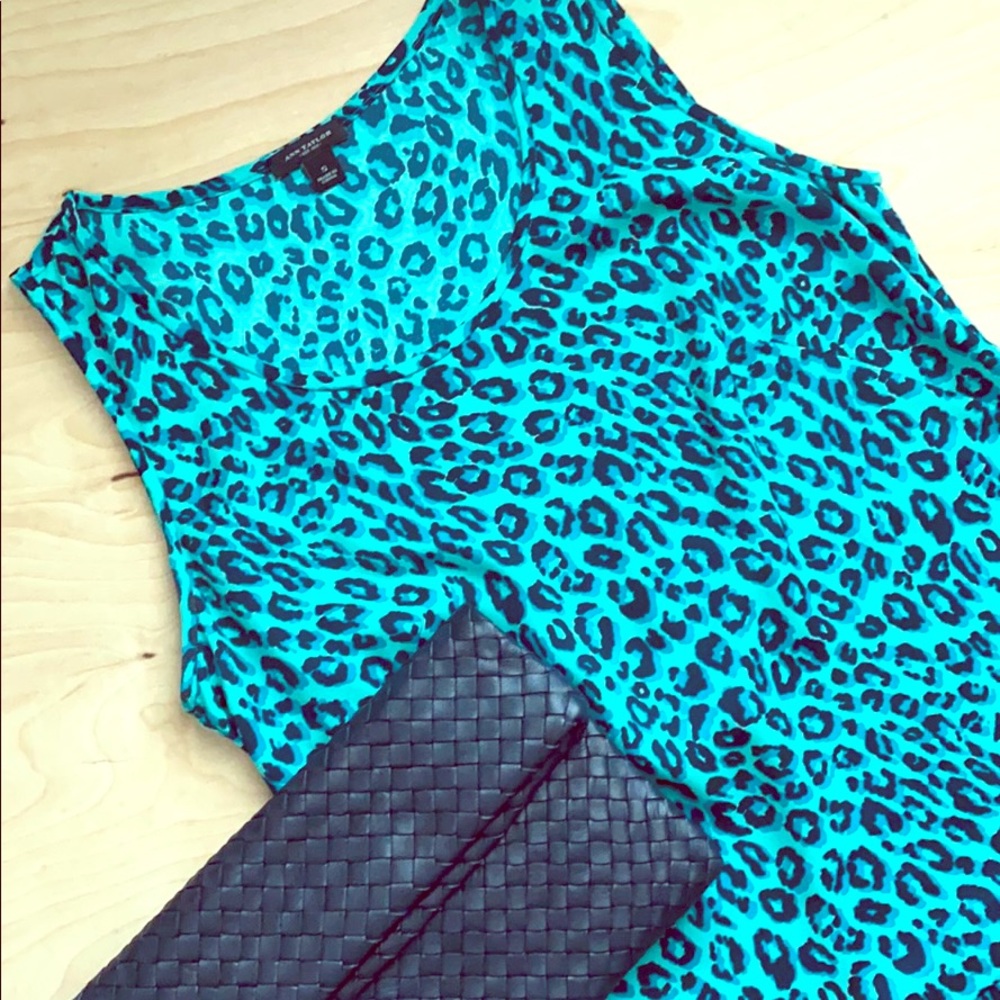 Ann Taylor Sleeveless Blouse
